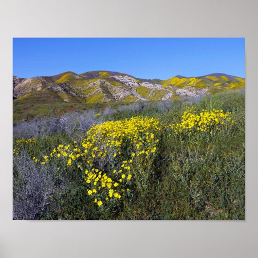 Nationaal monument van Carrizo Plain Poster (Voorkant)
