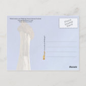 Nationaal monument van Grand Staircase-Escalante,  Briefkaart (Achterkant)