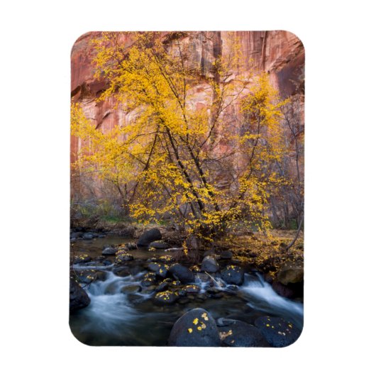 Nationaal monument van Grand Staircase-Escalante Magneet (Verticaal)