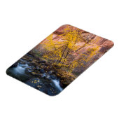 Nationaal monument van Grand Staircase-Escalante Magneet (Linkerzijde)