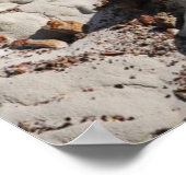 Nationaal monument van Grand Staircase-Escalante, Poster (Hoek)