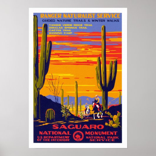 Nationaal monument van Saguaro Poster (Voorkant)