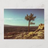 Nationaal monument voor El Malpais Briefkaart (Voorkant)