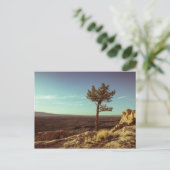 Nationaal monument voor El Malpais Briefkaart (Staand voorkant)