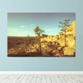 Nationaal monument voor El Malpais Canvas Afdruk (Insitu (Houten vloer))