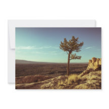 Nationaal monument voor El Malpais