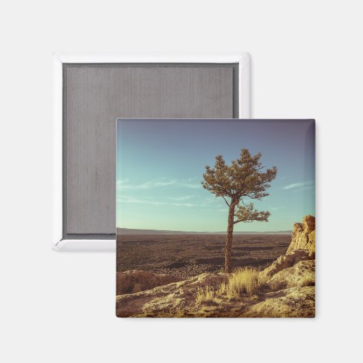 Nationaal monument voor El Malpais Magneet (Voorkant / Achterkant)