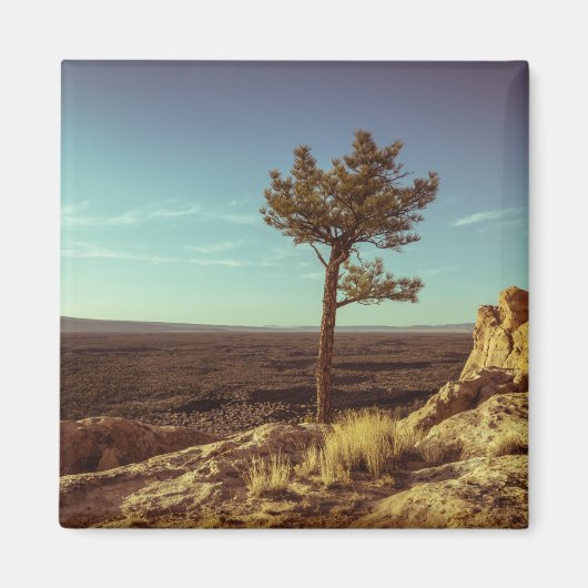 Nationaal monument voor El Malpais Magneet (Voorkant)