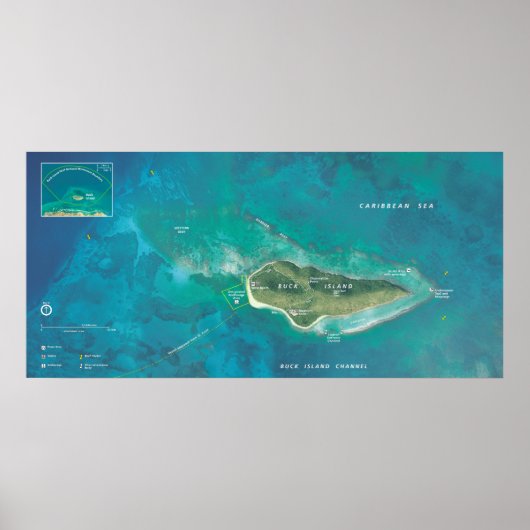 Nationaal Monument voor het rif van Buck Island Poster (Voorkant)