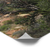 Nationaal monument voor natuurbruggen poster (Hoek)