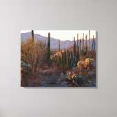 Nationaal monument voor orgaanpijpleiding canvas afdruk (Voorkant)