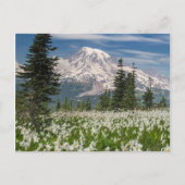 Nationaal park 1 van Mount Rainier Briefkaart (Voorkant)