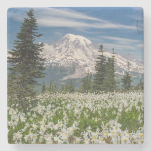 Nationaal park 1 voor de berg Rainier Stenen Onderzetter