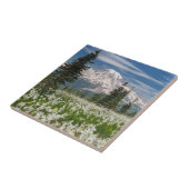 Nationaal park 1 voor de berg Rainier Tegeltje (Zijkant)