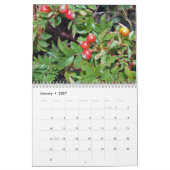 Nationaal park Acadia 2014 Kalender (Jan 2027)