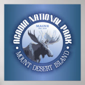 Nationaal park Acadia (Glades) Poster (Voorkant)