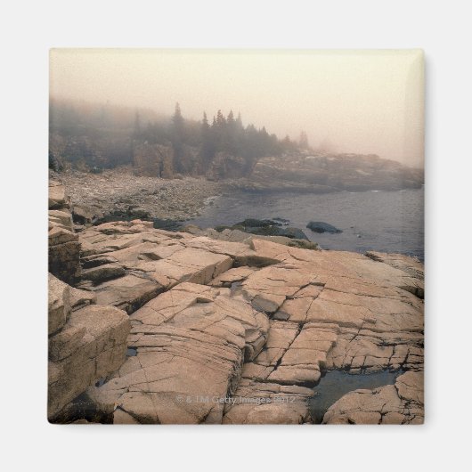 Nationaal park Acadia Magneet (Voorkant)