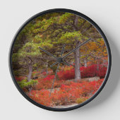 Nationaal park Acadia, Maine (Voorkant)