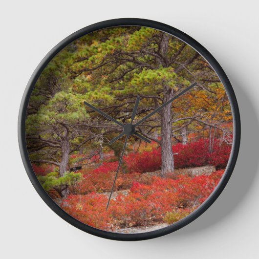 Nationaal park Acadia, Maine (Voorkant)