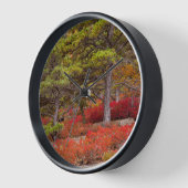 Nationaal park Acadia, Maine (Hoek)