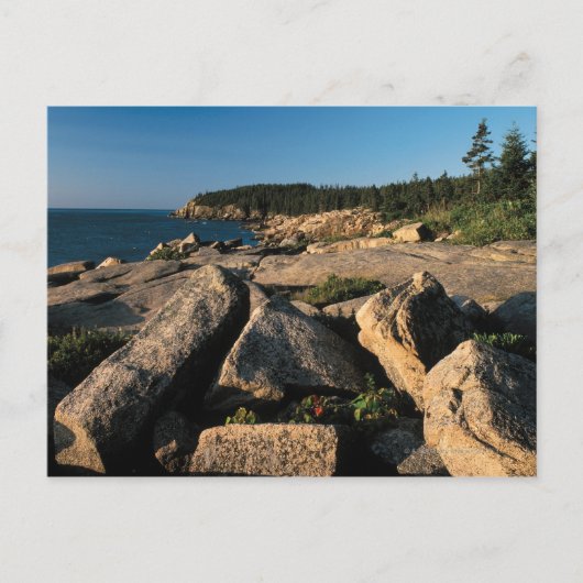 Nationaal park Acadia, Maine 2 Briefkaart (Voorkant)