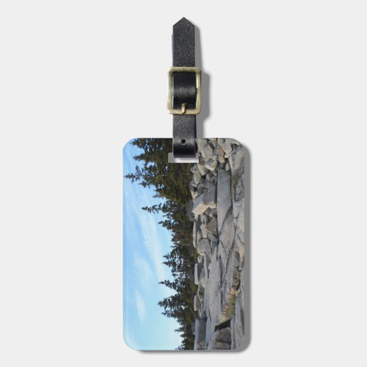 Nationaal park Acadia, Maine Bagagelabel (Voorkant verticaal)