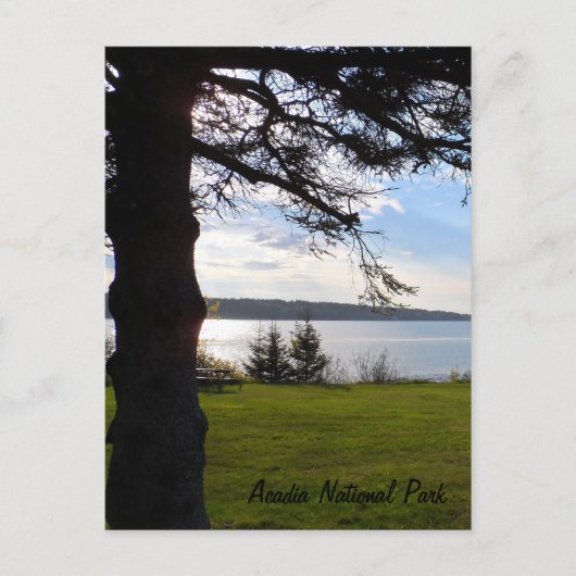 Nationaal park Acadia, Maine Briefkaart (Voorkant)