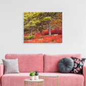 Nationaal park Acadia, Maine Canvas Afdruk (Insitu (Woonkamer))