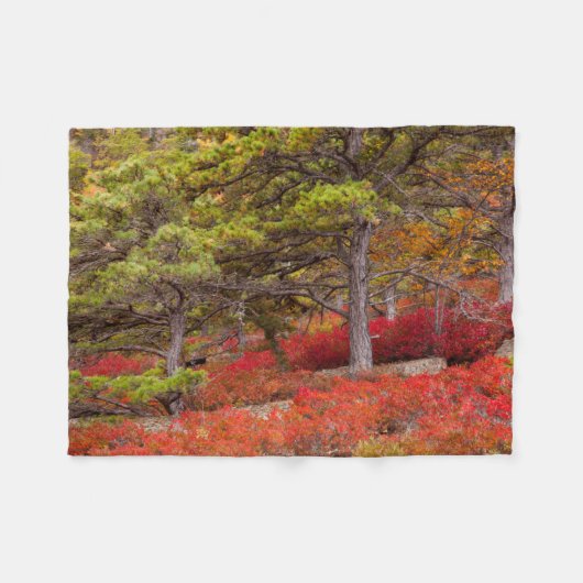 Nationaal park Acadia, Maine Fleece Deken (Voorkant (Horizontaal))