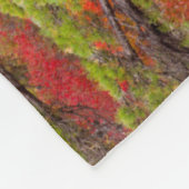 Nationaal park Acadia, Maine Fleece Deken (Hoek)