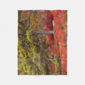 Nationaal park Acadia, Maine Fleece Deken (Voorkant)
