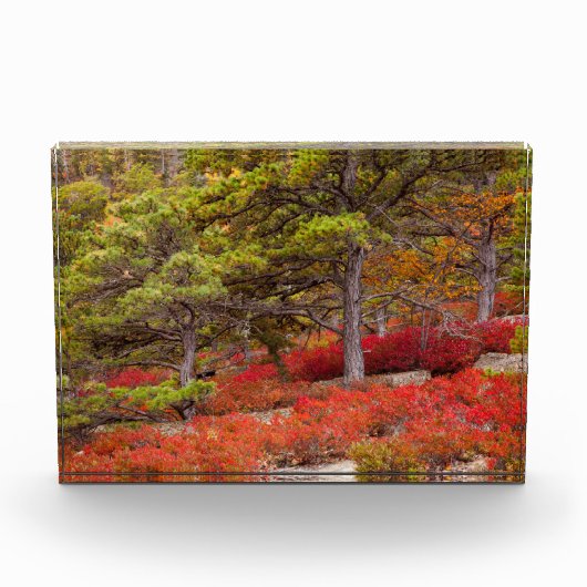 Nationaal park Acadia, Maine Fotoblokken (Voorkant)