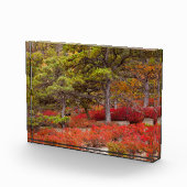 Nationaal park Acadia, Maine Fotoblokken (Rechts)