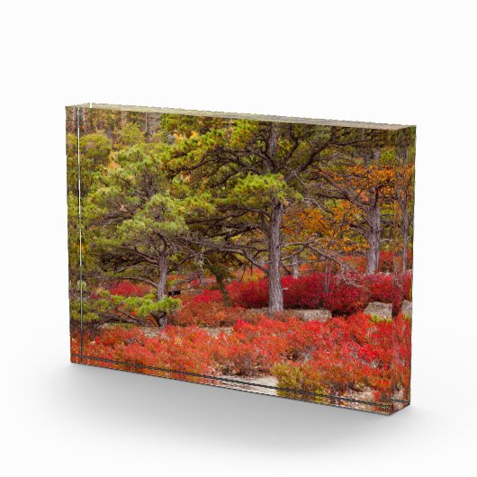 Nationaal park Acadia, Maine Fotoblokken (Rechts)