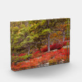 Nationaal park Acadia, Maine Fotoblokken (Links)