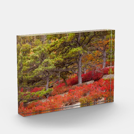 Nationaal park Acadia, Maine Fotoblokken (Links)