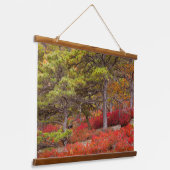 Nationaal park Acadia, Maine Hangend Wandkleed (Gebogen)