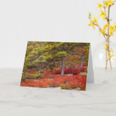 Nationaal park Acadia, Maine Kaart (Gele Bloem)