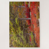 Nationaal park Acadia, Maine Legpuzzel (Verticaal)