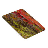 Nationaal park Acadia, Maine Magneet (Rechterzijde)