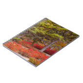 Nationaal park Acadia, Maine Notitieboek (Linkerzijde)