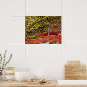 Nationaal park Acadia, Maine Poster (Keuken)