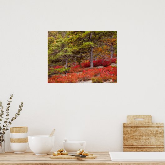 Nationaal park Acadia, Maine Poster (Keuken)