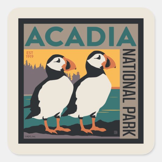 Nationaal park Acadia, Maine | Puffins Vierkante Sticker (Voorkant)