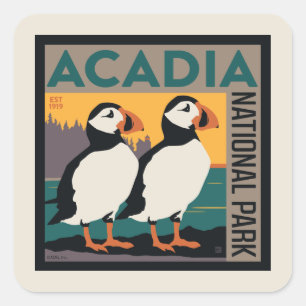Nationaal park Acadia, Maine Puffins Vierkante Sticker