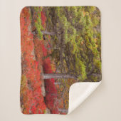 Nationaal park Acadia, Maine Sherpa Deken (Voorkant)