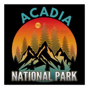Nationaal park Acadia Perfect Poster