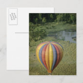 Nationaal Park Afrika, Kenia, Masai Mara, 3 Briefkaart (Voorkant / Achterkant)