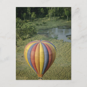 Nationaal Park Afrika, Kenia, Masai Mara, 3 Briefkaart