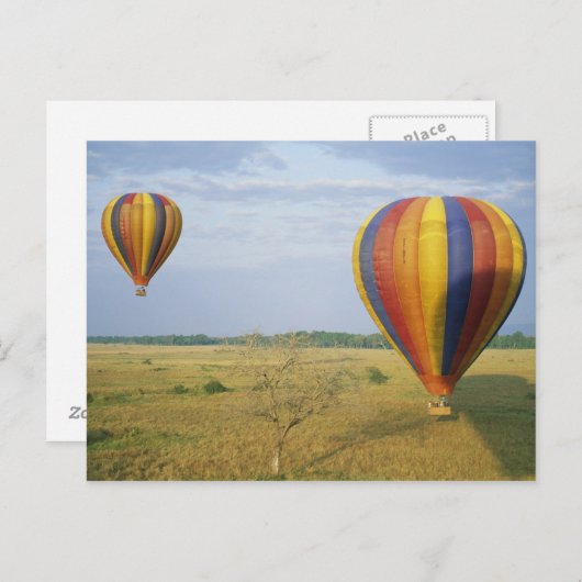 Nationaal Park Afrika, Kenia, Masai Mara Briefkaart (Voorkant / Achterkant)